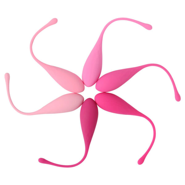 POTENTE - LESLIE - KEGEL FIT PELVIC MUSCLE TRAINING CONJUNTO 6 PCS