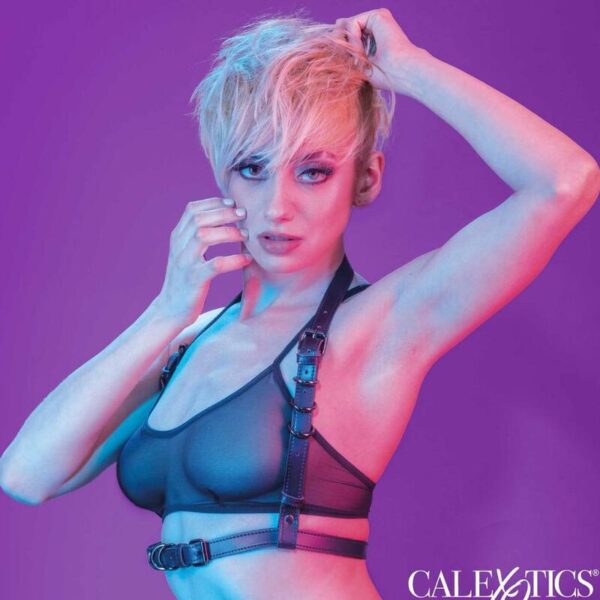 POTENTE - CALEXOTICS - EUPHORIA ARNÊS DE FIVELA HALTER PRETO