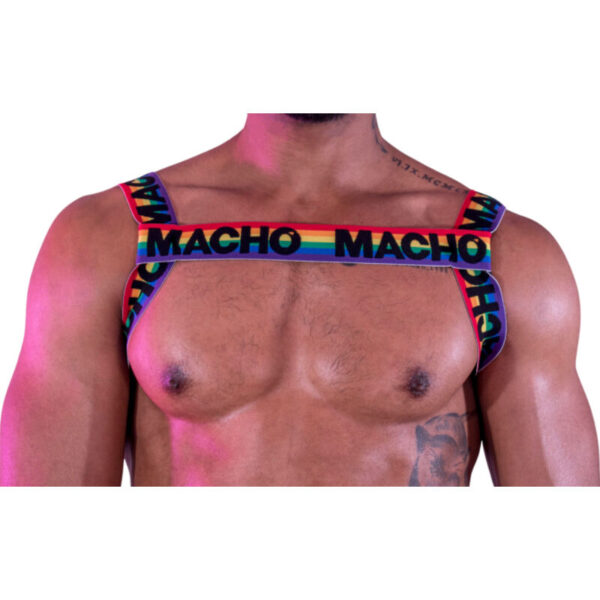 POTENTE - MACHO - ARNÊS DUPLO PRIDE LIMITED