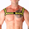 POTENTE - MACHO - ARNÊS DUPLO AMARELO