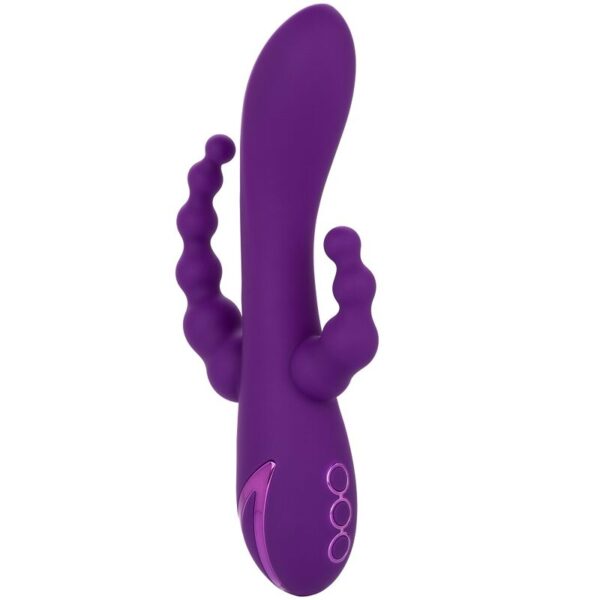 POTENTE - CALEXOTICS - LONG BEACH BOOTYLICIOUS ROXO