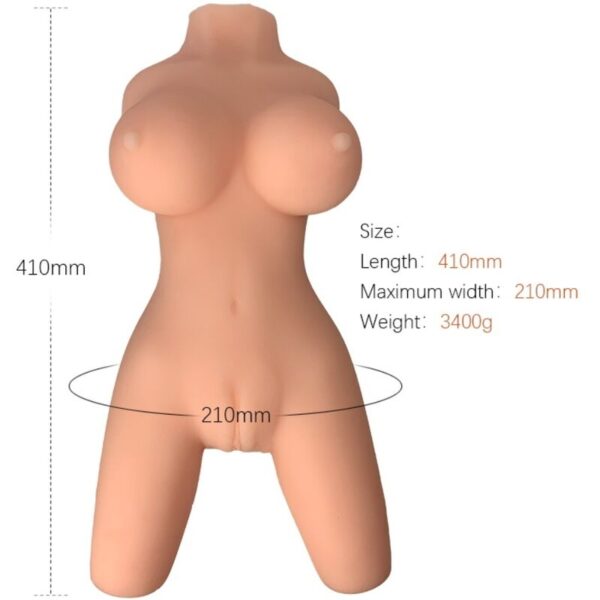 POTENTE - ARMONY - MODELO DE TORSO FEMININO REALISTA 8