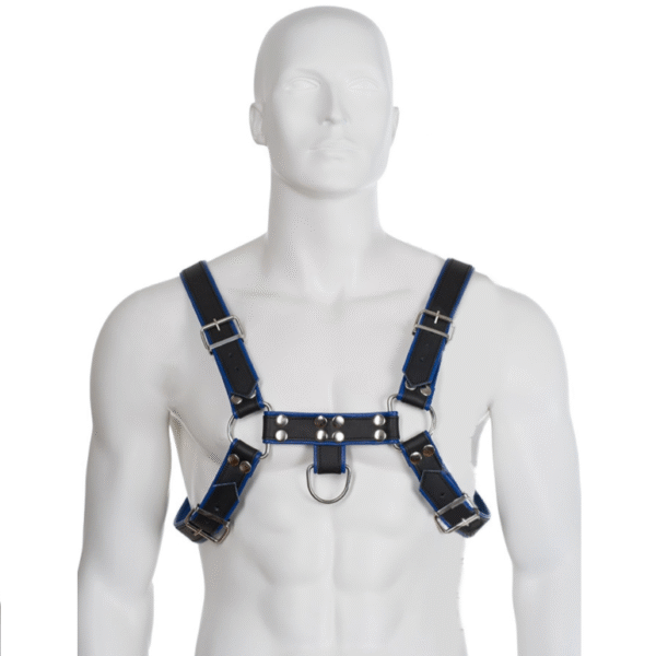 POTENTE - LEATHER BODY - ARNÊS DE COURO AZUL E PRETO PEITO BULLDOG