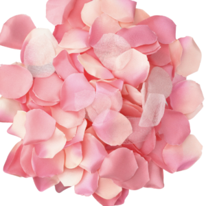 POTENTE - DIABO PICANTE - 100 PÉTALAS ROSA