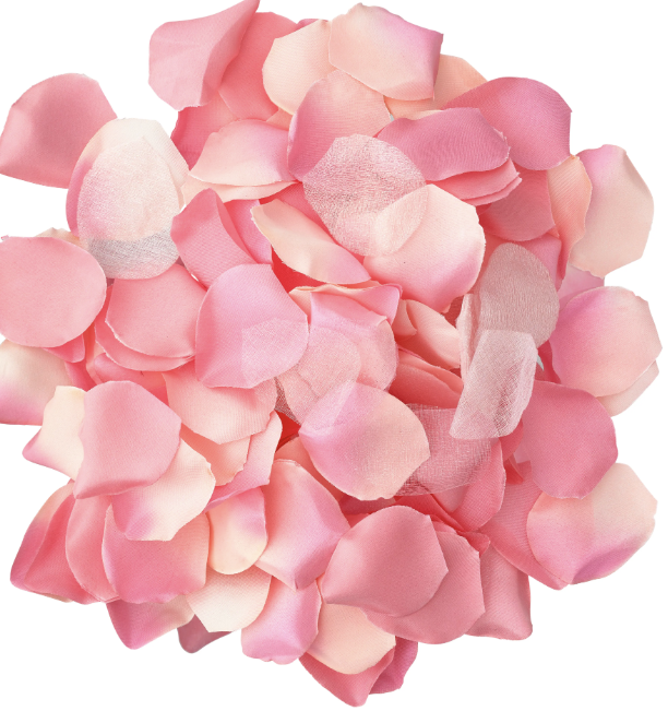 POTENTE - DIABO PICANTE - 100 PÉTALAS ROSA